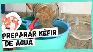 Cómo preparar KÉFIR DE AGUA Tibicos  FÁCIL y CASERO [upl. by Evania129]