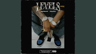 Levels feat Sunny Malton [upl. by Llenehs]