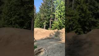 Crabapple Hits🔥🔥🔥extremesports mtb mountainbiking adrenaline [upl. by Colinson]