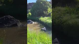 71523 hike New Mexico Scenic rocky terrain and green vegetation nature river desertmountain [upl. by Ayk]