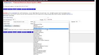 USPTO TESS Structured Search [upl. by Masterson]