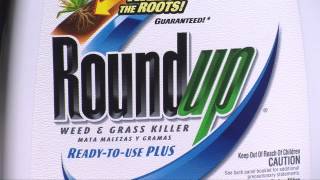 Review Roundup weed and grass killer [upl. by Ieppet30]