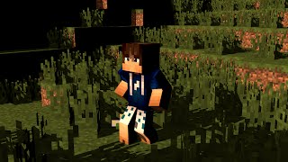 Mod MineMaps minecraft pe 0130 [upl. by Lehmann723]