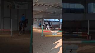 Jumping session sabato  lavoro leggero horse cavalli equestrian equitazione shorts equestre [upl. by Leahkim837]