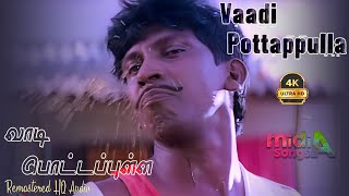 வாடி பொட்டப்புள்ள வெளியே Vaadi Pottapulla Veliye Song HD Video Song 4k Remastered vadivelu [upl. by Angle72]