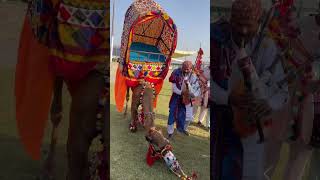 Camel dance camel viralvideo youtubeshorts villagelife [upl. by Horn878]