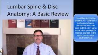 Dr Gillards presentation of Lumbar Spine and Disc Anatomy [upl. by Herates]