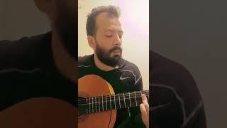 Zelda Ocarina of time gerudo valley on 1 guitar Fingerstyle [upl. by Monto815]