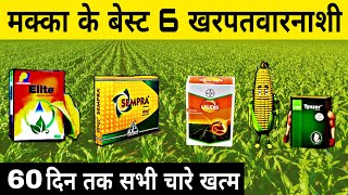 मक्का के बेस्ट 6 खरपतवारनाशी  laudis herbicide  sempra  basf tynzer herbicide  lodis  tinger [upl. by Aicilyt]