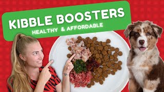 BOOST YOUR DRY DOG FOOD 3 additions to make your kibble healthier [upl. by Fredkin]