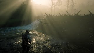 RDR2 Poor Mans Game Ep41 A Day Afield Legendary Boar and Beaver [upl. by Enyaw]