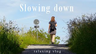 A Peaceful Nature Walk to Slow Down  Silent Vlog [upl. by Frerichs]