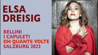 Elsa Dreisig evokes bel canto lyricism in forlorn cavatina [upl. by Millhon]