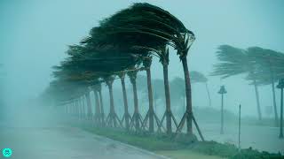 Sound Effects  Storm Winds Hurricane [upl. by Cyndy]