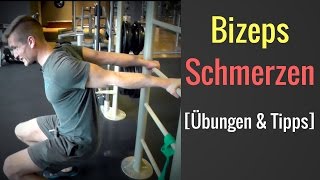 Schmerzen in der Bizepssehne unterer Teil  Schmerzen bei BizepsCurls │Mischa Kotlyar [upl. by Ilek]