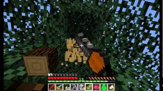 Season 3 Episode 14  Direwolf20s Lets Play [upl. by Rossner]