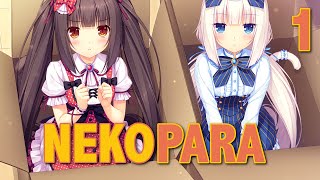 NEKOPARA  Cute Catgirl Cafe Manly VN Preview Pt1 [upl. by Arraeit592]