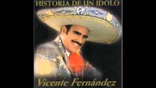 VICENTE FERNANDEZ  NOS ESTORBO LA ROPA [upl. by Ennovaj]