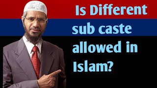 Is Different sub caste allowed in Islam [upl. by Enyaz843]