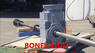 bonfiglioli gearbox repair [upl. by Neale]