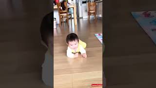 Funny baby dance 😍shorts [upl. by Orabla]