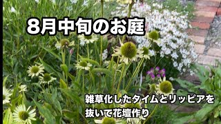 【ガーデニング】雑草化したタイムとリッピアを抜いて花壇作り8月中旬のお庭秋にも活躍する苗を購入 [upl. by Charlton]