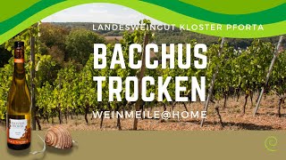 WeinmeileHome – Bacchus trocken Landweingut Kloster Pforta [upl. by Nicram]