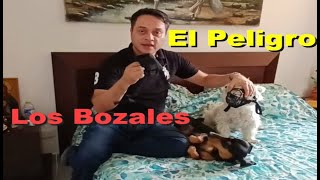 El Peligro de los Bozales para tu Perro [upl. by Ayenet22]