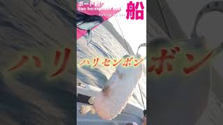 【二馬力ボート】海に魚が浮いてたからすくってみた shorts 釣りラビ ＃ボート釣り ＃二馬力ボート fishing [upl. by Pinebrook]