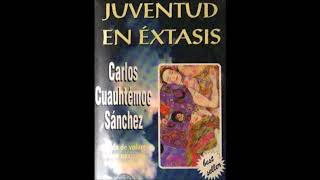 AUDIO LIBRO juventud en extasis voz latino [upl. by Asssilem]