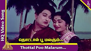 Thottal Poo Malarum Video Song  Padagotti Movie Songs  MGR  Saroja Devi  Pyramid Music [upl. by Saberhagen]