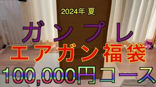 【2024年 エアガン福袋】GPW ガンプレ 10万円コース サバゲー福袋 [upl. by Duke]