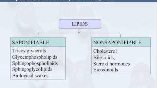 3B 815 Saponifiable amp Nonsaponifiable Lipids [upl. by Bozovich984]