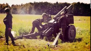 M101 howitzer used by Lithuanian Armed Forces [upl. by Yeslaehc]