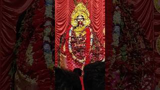 taramashortvideo viralvideokalipuja [upl. by Aneetsirk]