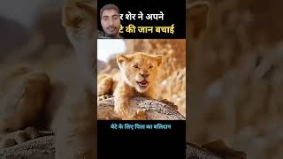 Jaan bacha li 😲 viral shorts [upl. by Natty]