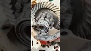 New bearing fitting shortvideo [upl. by Corby]