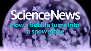 How bubbles turn into snow globes  Science News [upl. by Pelletier]