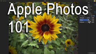 Getting Started Processing iPhone PRORAW FILES in APPLE PHOTOS [upl. by Tzong614]