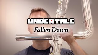 UNDERTALE  Fallen Down  Contrabass Flute [upl. by Hgielar]