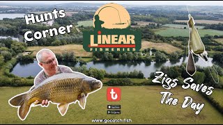 295 Linear Fisheries Hunts Corner Zigs SAVES The Day [upl. by Eade484]