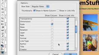 InDesignSecrets Videocast Episode 2 Saving Time with the Links Panel [upl. by Eirok399]