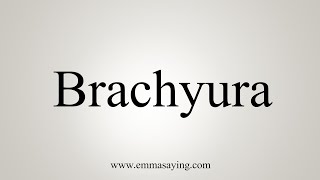 How To Say Brachyura [upl. by Sabino69]