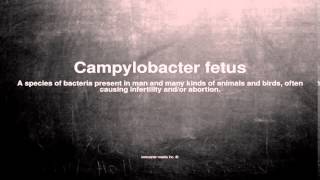 Medical vocabulary What does Campylobacter fetus mean [upl. by Elephus70]