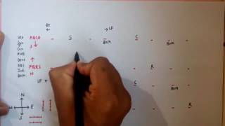 Linear Sitting Arrangement Part 1 Two Parallel Rows Problem [upl. by Nesta173]