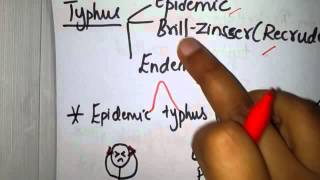 Rickettsia simplified  Part 1  Intro and classification [upl. by Sauveur]