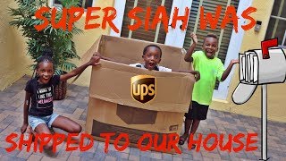 Super Siah Was Shipped To Our House It Worked We Had So Much Fun [upl. by Klayman]