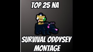 SURVIAL ODDYSEY MONTAGE [upl. by Tteve]