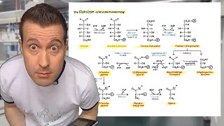 Die Glykolyse  eine erste Orientierung  Glykolyse und Gluconeogenese 521 [upl. by Ariaic]