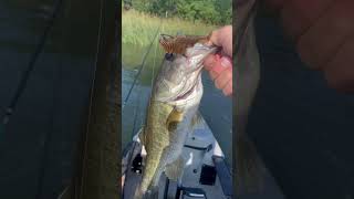 Walter E Long lake Bellows Gill Swimmer  geecrack Atx fishing texas [upl. by Lebam]